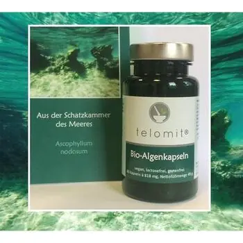Telomit® Bio-Algenkapseln  60 Stück BRAUNALGEN